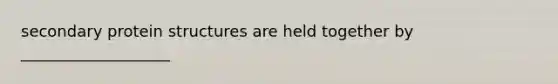 secondary protein structures are held together by ___________________