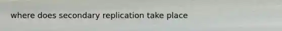 where does secondary replication take place