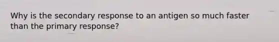 Why is the secondary response to an antigen so much faster than the primary response?