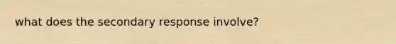 what does the secondary response involve?