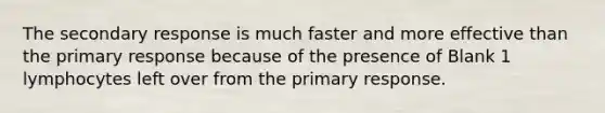 The secondary response is much faster and more effective than the primary response because of the presence of Blank 1 lymphocytes left over from the primary response.