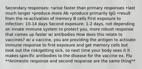 Secondary responses: •arise faster than primary responses •last much longer •produce more Ab •produce primarily IgG •result from the re-activation of memory B cells First exposure to infection: 10-14 days Second exposure: 1-2 days, not depending on innate immune system to protect you, more robust response that comes up faster w/ antibodies How does this relate to vaccines? w/ a vaccine, you are providing the antigen to activate immune response to first exposure and get memory cells but took out the risk/getting sick, so next time your body sees it it makes specific antibodies to the disease for the vaccine ex. Flu **Animestic response and second response are the same thing**