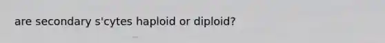 are secondary s'cytes haploid or diploid?