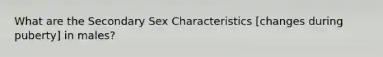 What are the Secondary Sex Characteristics [changes during puberty] in males?