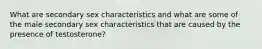 What are secondary sex characteristics and what are some of the male secondary sex characteristics that are caused by the presence of testosterone?