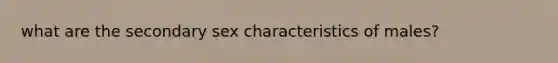 what are the secondary sex characteristics of males?