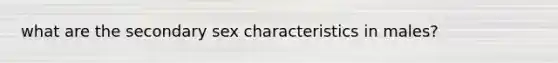 what are the secondary sex characteristics in males?