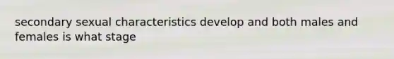 secondary sexual characteristics develop and both males and females is what stage