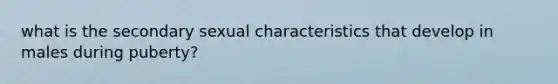 what is the secondary sexual characteristics that develop in males during puberty?