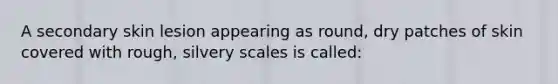 A secondary skin lesion appearing as round, dry patches of skin covered with rough, silvery scales is called: