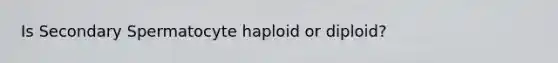 Is Secondary Spermatocyte haploid or diploid?