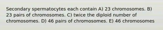 Secondary spermatocytes each contain A) 23 chromosomes. B) 23 pairs of chromosomes. C) twice the diploid number of chromosomes. D) 46 pairs of chromosomes. E) 46 chromosomes