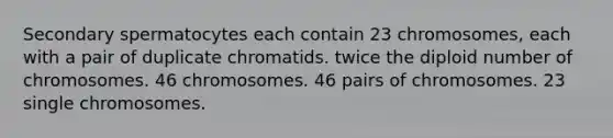 Secondary spermatocytes each contain 23 chromosomes, each with a pair of duplicate chromatids. twice the diploid number of chromosomes. 46 chromosomes. 46 pairs of chromosomes. 23 single chromosomes.