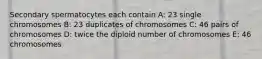 Secondary spermatocytes each contain A: 23 single chromosomes B: 23 duplicates of chromosomes C: 46 pairs of chromosomes D: twice the diploid number of chromosomes E: 46 chromosomes