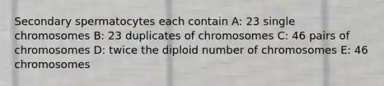 Secondary spermatocytes each contain A: 23 single chromosomes B: 23 duplicates of chromosomes C: 46 pairs of chromosomes D: twice the diploid number of chromosomes E: 46 chromosomes