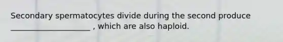 Secondary spermatocytes divide during the second produce ____________________ , which are also haploid.