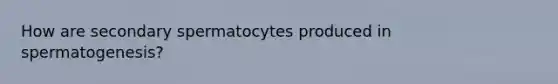 How are secondary spermatocytes produced in spermatogenesis?