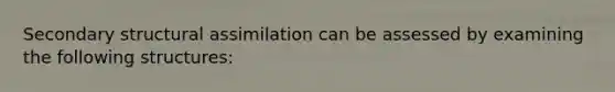 Secondary structural assimilation can be assessed by examining the following structures: