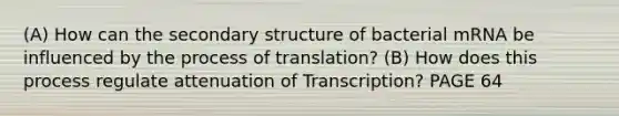 (A) How can the secondary structure of bacterial mRNA be influenced by the process of translation? (B) How does this process regulate attenuation of Transcription? PAGE 64