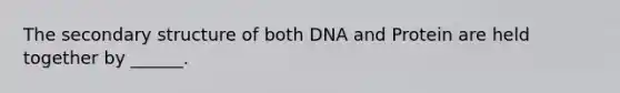 The secondary structure of both DNA and Protein are held together by ______.