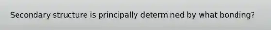Secondary structure is principally determined by what bonding?