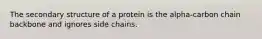 The secondary structure of a protein is the alpha-carbon chain backbone and ignores side chains.