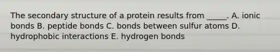 The secondary structure of a protein results from _____. A. ionic bonds B. peptide bonds C. bonds between sulfur atoms D. hydrophobic interactions E. hydrogen bonds