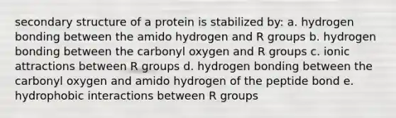 secondary structure of a protein is stabilized by: a. hydrogen bonding between the amido hydrogen and R groups b. hydrogen bonding between the carbonyl oxygen and R groups c. ionic attractions between R groups d. hydrogen bonding between the carbonyl oxygen and amido hydrogen of the peptide bond e. hydrophobic interactions between R groups