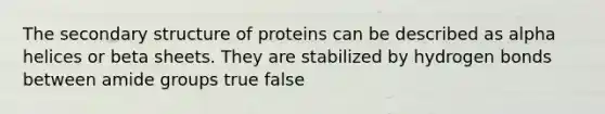 The secondary structure of proteins can be described as alpha helices or beta sheets. They are stabilized by hydrogen bonds between amide groups true false