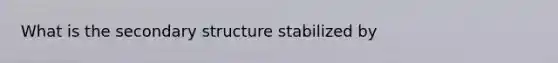 What is the secondary structure stabilized by