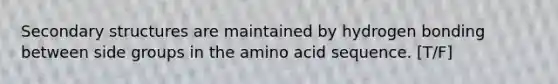 Secondary structures are maintained by hydrogen bonding between side groups in the amino acid sequence. [T/F]