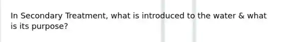 In Secondary Treatment, what is introduced to the water & what is its purpose?