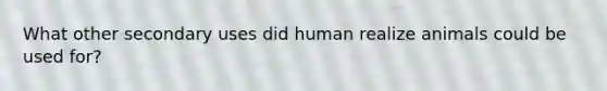 What other secondary uses did human realize animals could be used for?