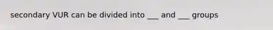 secondary VUR can be divided into ___ and ___ groups
