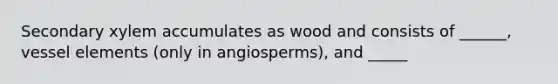 Secondary xylem accumulates as wood and consists of ______, vessel elements (only in angiosperms), and _____