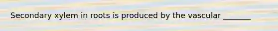 Secondary xylem in roots is produced by the vascular _______