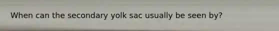 When can the secondary yolk sac usually be seen by?