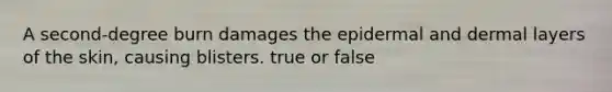 A second-degree burn damages the epidermal and dermal layers of the skin, causing blisters. true or false