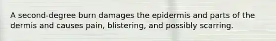 A second-degree burn damages the epidermis and parts of the dermis and causes pain, blistering, and possibly scarring.