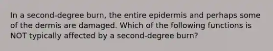 In a second-degree burn, the entire epidermis and perhaps some of the dermis are damaged. Which of the following functions is NOT typically affected by a second-degree burn?