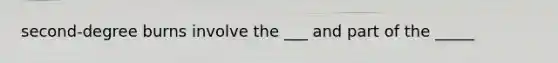 second-degree burns involve the ___ and part of the _____