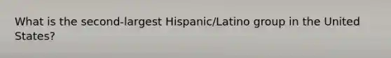 What is the second-largest Hispanic/Latino group in the United States?