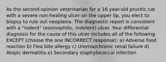 As the second-opinion veterinarian for a 16 year-old pruritic cat with a severe non-healing ulcer on the upper lip, you elect to biopsy to rule out neoplasia. The diagnostic report is consistent with a "rodent" (eosinophilic, indolent) ulcer. Your differential diagnosis for the cause of this ulcer includes all of the following EXCEPT (choose the one INCORRECT response): a) Adverse food reaction b) Flea bite allergy c) Uremia/chronic renal failure d) Atopic dermatitis e) Secondary staphylococcal infection