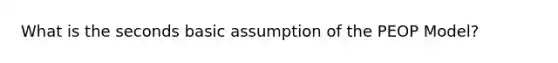 What is the seconds basic assumption of the PEOP Model?