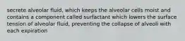 secrete alveolar fluid, which keeps the alveolar cells moist and contains a component called surfactant which lowers the surface tension of alveolar fluid, preventing the collapse of alveoli with each expiration