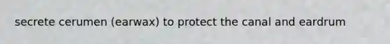 secrete cerumen (earwax) to protect the canal and eardrum