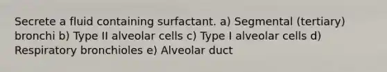 Secrete a fluid containing surfactant. a) Segmental (tertiary) bronchi b) Type II alveolar cells c) Type I alveolar cells d) Respiratory bronchioles e) Alveolar duct