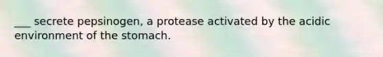 ___ secrete pepsinogen, a protease activated by the acidic environment of the stomach.