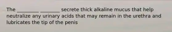 The _________ ________ secrete thick alkaline mucus that help neutralize any urinary acids that may remain in the urethra and lubricates the tip of the penis