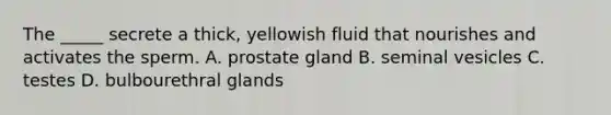 The _____ secrete a thick, yellowish fluid that nourishes and activates the sperm. A. prostate gland B. seminal vesicles C. testes D. bulbourethral glands